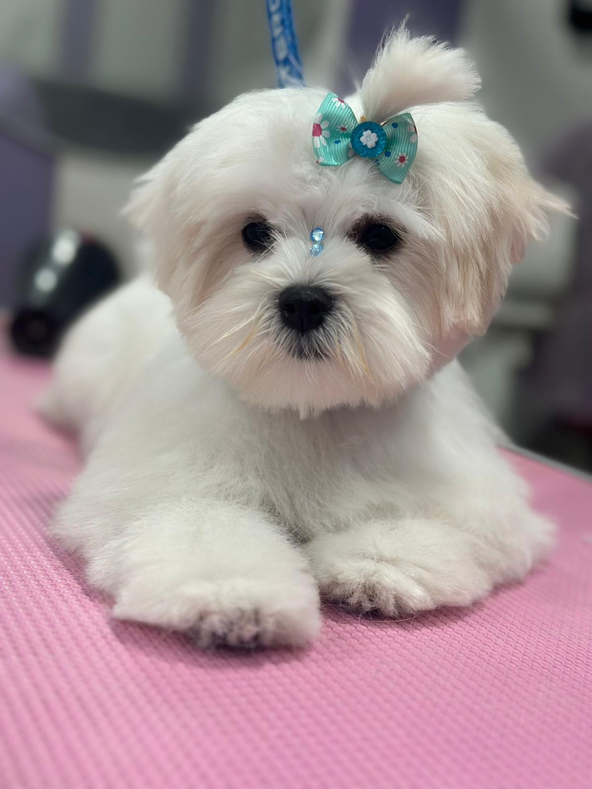 Imagen 9 de la galería